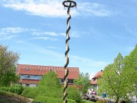 Maibaum 2008 036_hg